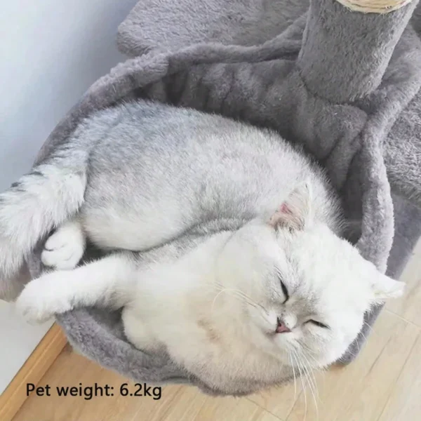 Soft Cat Hammock Bed