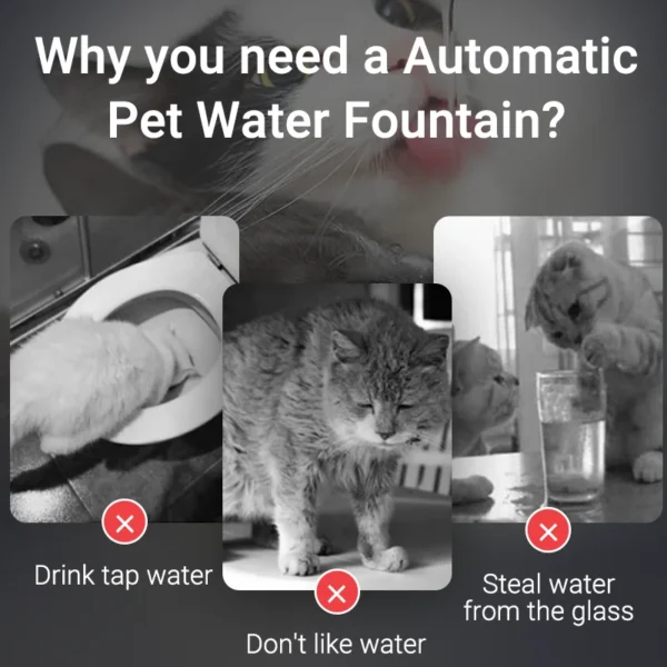 Portable Cat Water Fountain - immagine 6